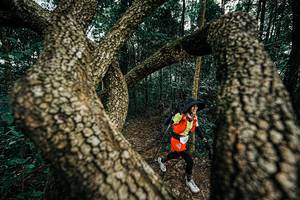 BIB: 
                            <button type="button" onclick="openModal(25393411)" class="btn btn-primary btn-sm float-right btn-popup" data-toggle="modal" data-target=".modal-high-quality">
                        <i class="fas fa-shopping-cart"></i> Add to Cart
                    </button>
                                            <button type="button" onclick="isThisMe(25393411, true)" class="btn btn-success btn-sm float-right btn-popup btn-isme hidden" data-toggle="tooltip" data-placement="bottom" title="นี่คือรูปของคุณใช่ไหม คลิกที่นี่เพื่อเอาเข้าอัลบั้ม">
                        <i class="fas fa-plus"></i> Add to album
                    </button>
                    <button type="button" onclick="isThisMe(25393411, false)" class="btn btn-warning btn-sm float-right btn-popup btn-isnotme hidden">
                        <i class="fas fa-ban"></i> Remove from album
                    </button>